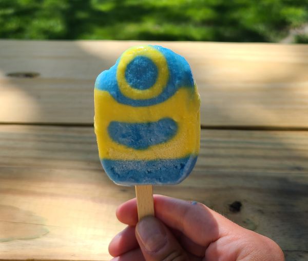 Of Minions and machine intelligence